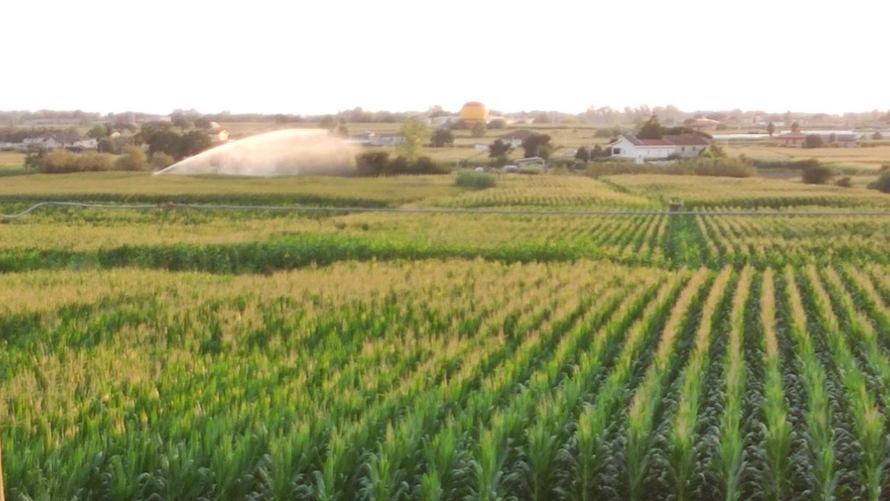 Le Colline Di Paestum Bed and Breakfast Capaccio Εξωτερικό φωτογραφία