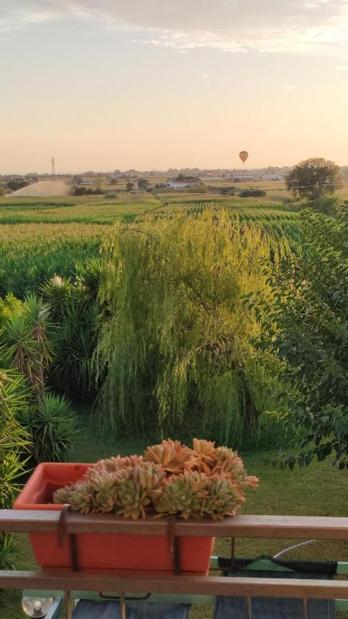 Le Colline Di Paestum Bed and Breakfast Capaccio Εξωτερικό φωτογραφία