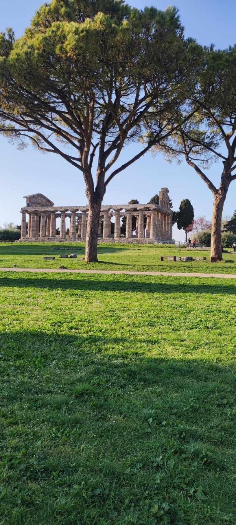 Le Colline Di Paestum Bed and Breakfast Capaccio Εξωτερικό φωτογραφία