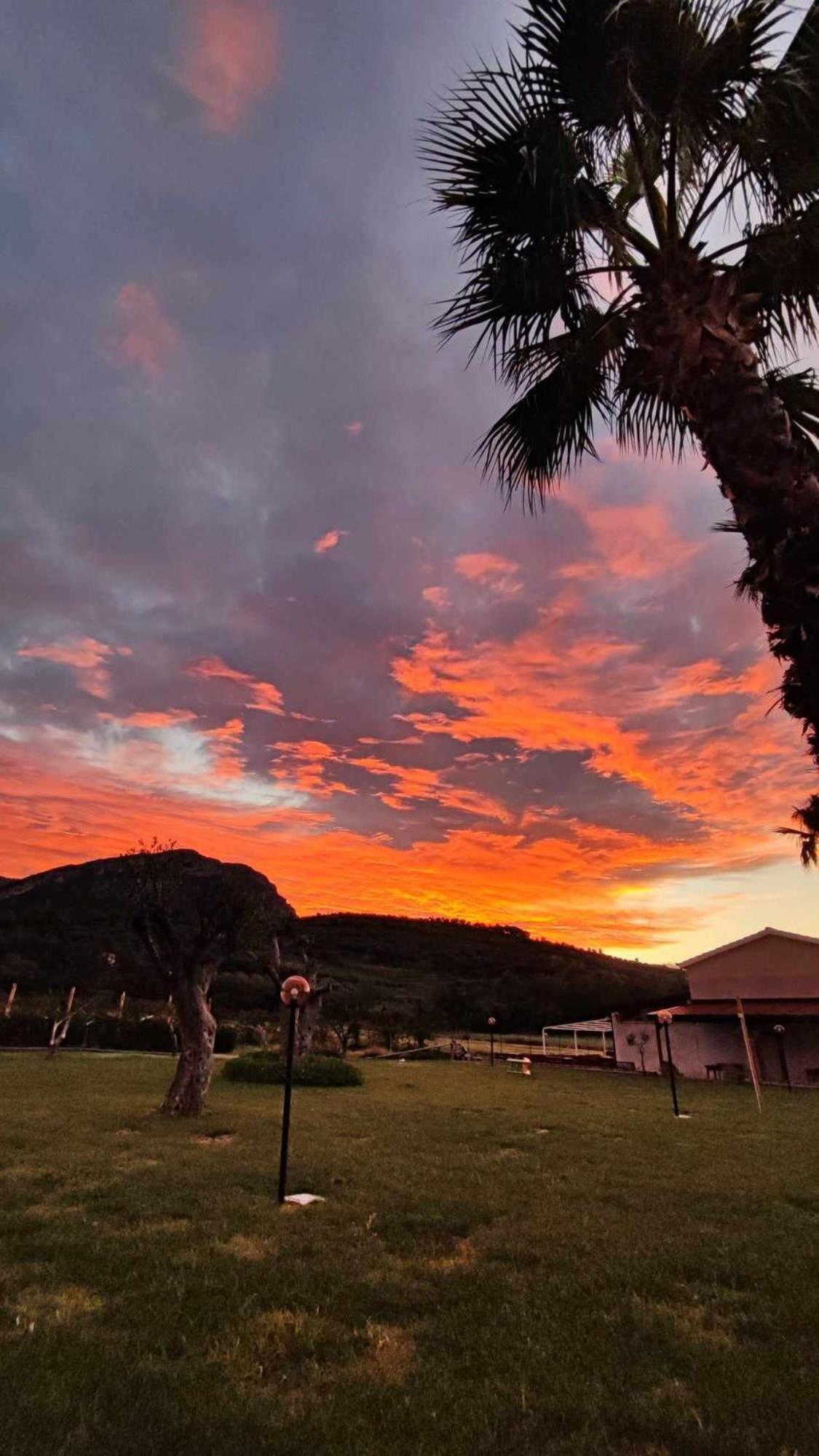 Le Colline Di Paestum Bed and Breakfast Capaccio Εξωτερικό φωτογραφία