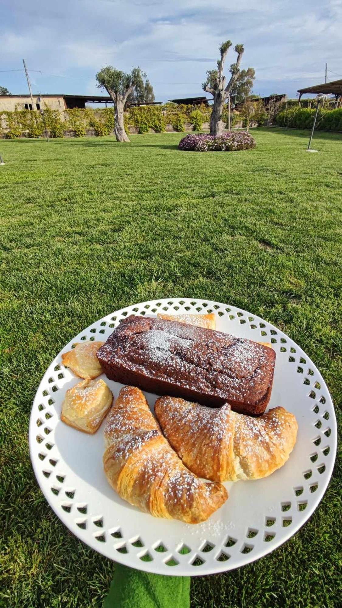 Le Colline Di Paestum Bed and Breakfast Capaccio Εξωτερικό φωτογραφία