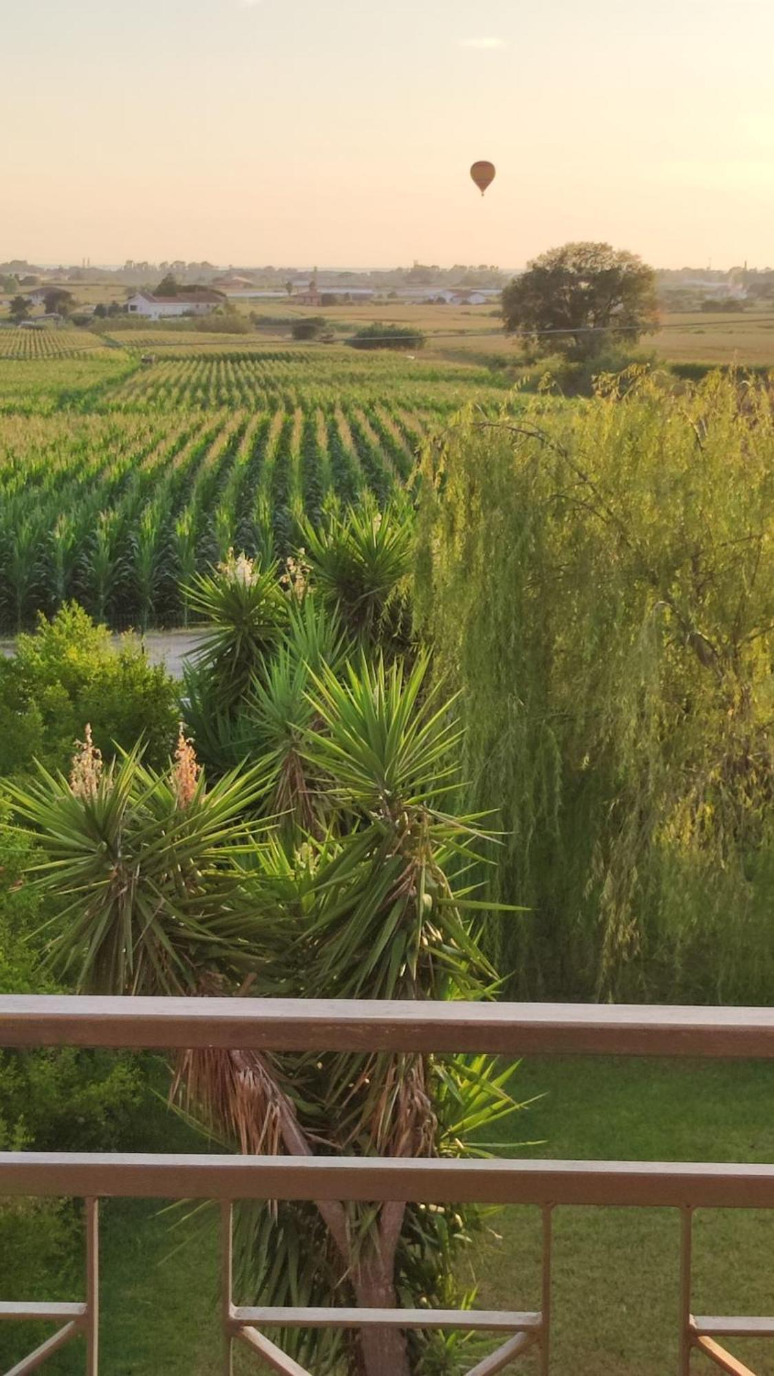 Le Colline Di Paestum Bed and Breakfast Capaccio Δωμάτιο φωτογραφία